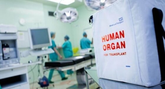 Η δωρεά οργάνων απαιτεί μεγαλοψυχία και ευαισθησία που τιμά τη μνήμη του εκλιπόντος.